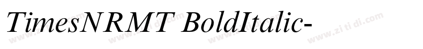 TimesNRMT BoldItalic字体转换
